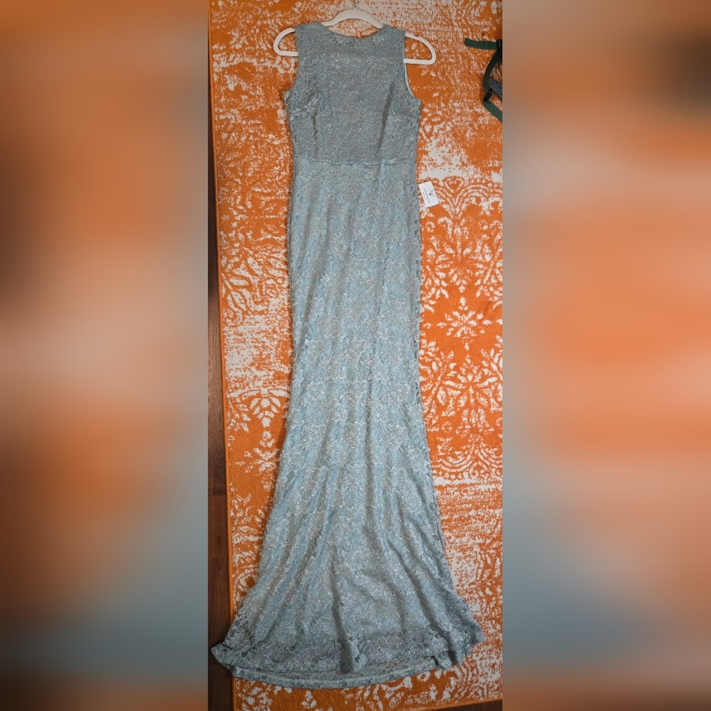 NWT Windsor Sage Lace Dress